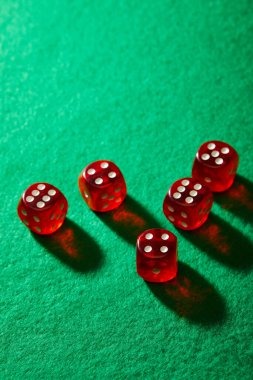topgun Red Tiger player dashboard with balance and betting history